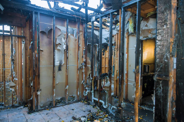 Professional Soot Cleanup technician working in Seffner, FL
