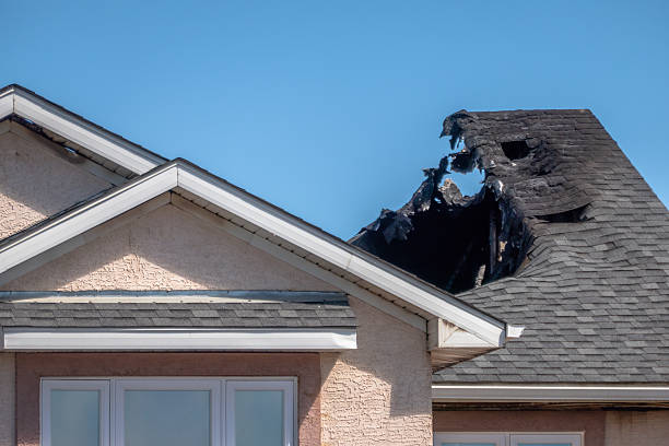 Top rated local Soot Cleanup specialists in Seffner, FL